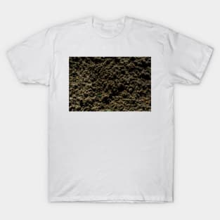 Sand After Rain T-Shirt